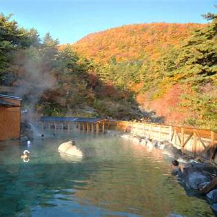 独身貴族　旅行