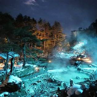 独身貴族　旅行